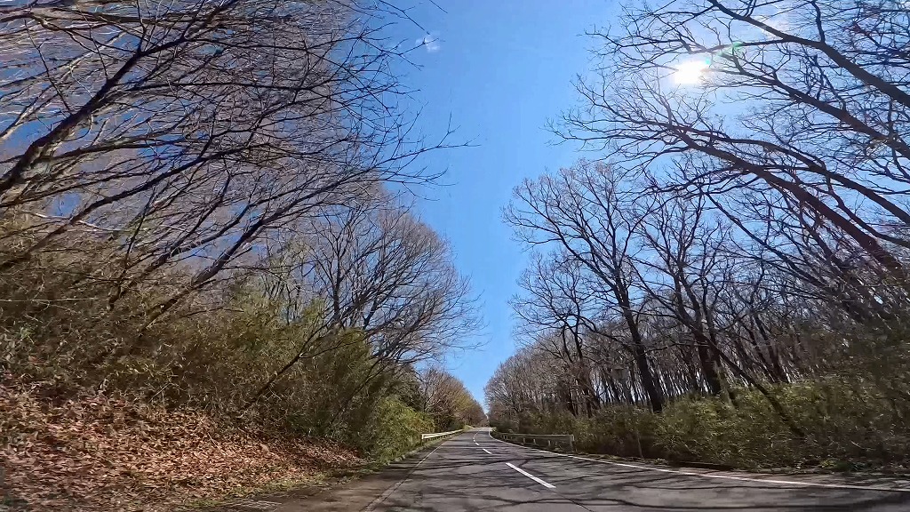 茨城県 メロンロード